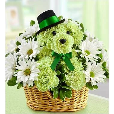 And again, if you didn't realize it was an option and you'd rather have a dialog with. 1-800-Flowers® Lucky™ | 1-800-Flowers | Palmer Florist