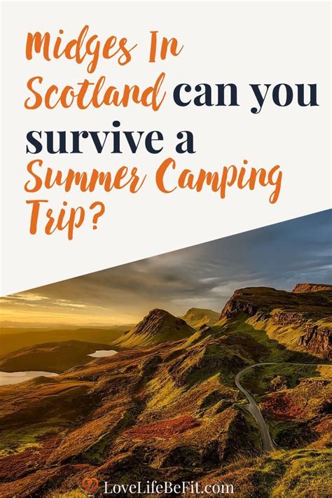 How long do they live? Midges In Scotland (Can You Survive A Summer Camping Trip ...