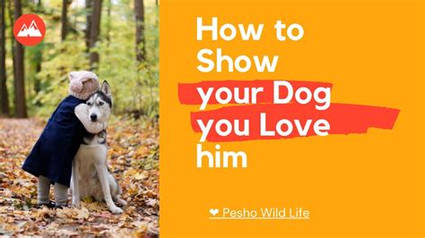 How To Show Your Dog You Love Him Pesho Wild Life ️ Youtube