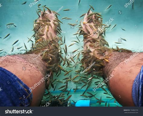 Fish Spa Pedicure Rufa Garra Treatment Stock Photo Edit Now