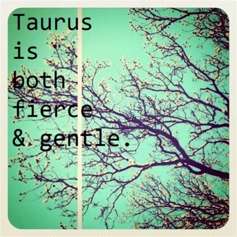 taurus the bull taurus horoscope taurus zodiac signs taurus