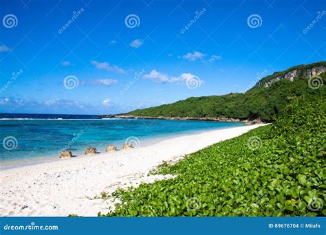 A Secluded Sandy Beach Covered With Greenery Stock Photo Image Of