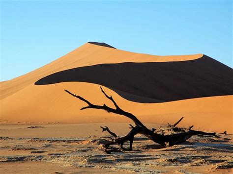 Voyage Namibie Du Kalahari Etosha Jours Routes D Exploration