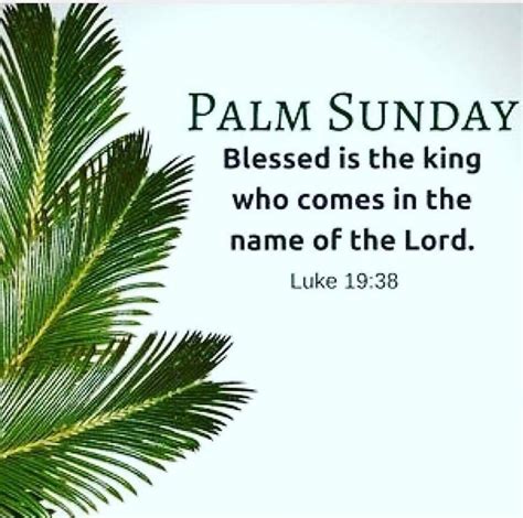 Explore our collection of motivational and famous quotes by authors you know and love. Palm Sunday Blessed Is The King! Pictures, Photos, and ...