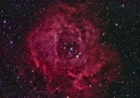 Ngc2244 The Rosette Nebula Astrodoc Astrophotography By Ron Brecher
