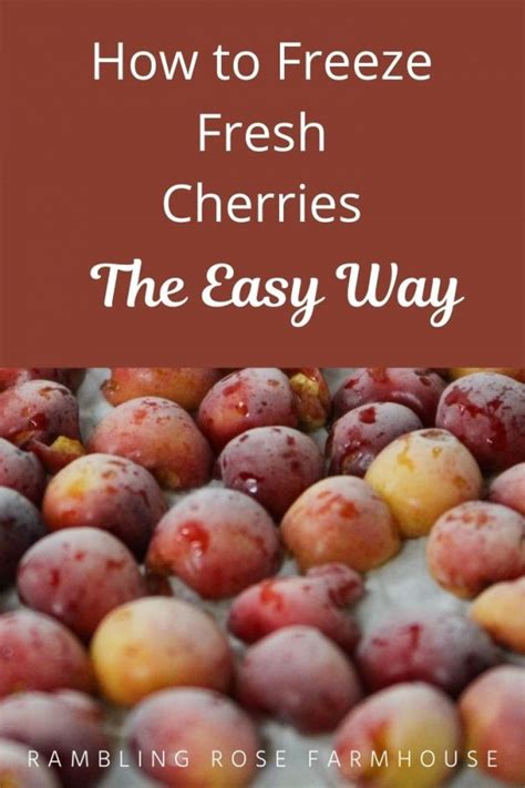 How To Freeze Cherries Rambling Rose Farmhouse