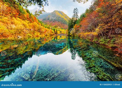 Beautiful View Of The Five Flower Lake Among Fall Woods Stock Image