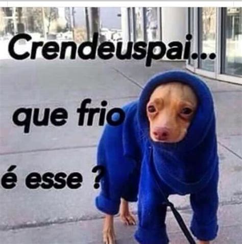 18 Memes De Frio Para Status Memes Engraçados