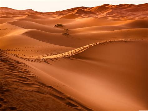 Beautiful Desert Wallpapers Top Những Hình Ảnh Đẹp