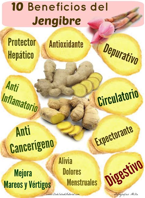 Beneficios Del Jengibre Club Salud Natural Ayurveda Health And