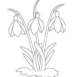 Elfen & blumen insgesamt 16 a4 seiten. snowdrop template - Google Search | Blumen zeichnen ...