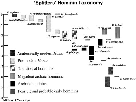 The Hominin Fossil Record Taxa Grades And Clades Wood 2008