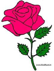 Download 4k wallpapers of best flowers, roses, tulips, lotus, lily, poppy, dahlia, cherry blossom for desktop & mobile phones in high quality hd, 4k, 5k resolutions. Short Essay on Rose Flower in Hindi Gulab ka Phool Par ...