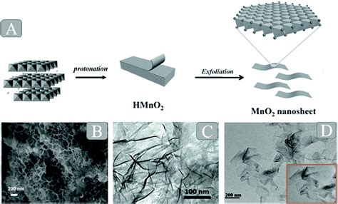 Recent Advances In Functionalized Mno 2 Nanosheets For Biosensing And