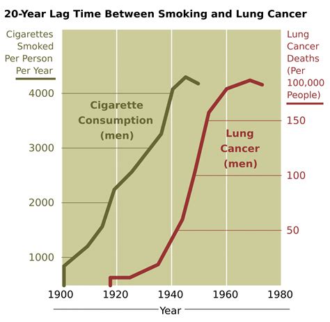 136 Smoking And Health Human Biology