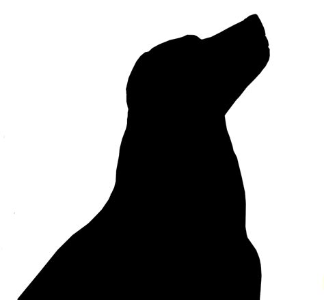 34+ Black Lab Svg Free Pictures Free SVG files | Silhouette and Cricut