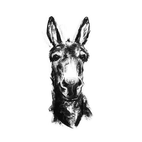 Donkey Drawing Print Donkey Art Print From A Charcoal Etsy Charcoal