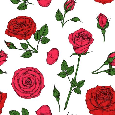 Patrón De Rosas Ramo De Flores Rosas Rojas Patrón De Dibujo Floral