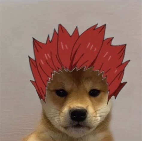 Dog Anime Aesthetic Pfp