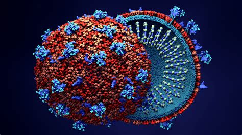 Covid 19 Herd Immunity Without Vaccines That Will Lead To Genocide