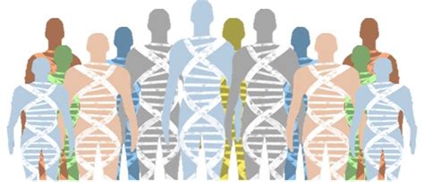 proyecto genoma humano artofit