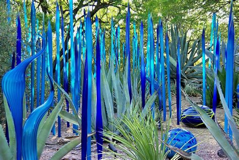 The main installment is a made of suspended. Chihuly Exhibit - Blue garden - Desert Botanical Garden ...