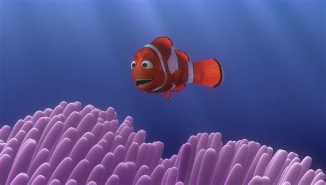Finding nemo andrew stanton 2003 plot: Marin, personnage dans "Le Monde de Nemo". | Disney-Planet