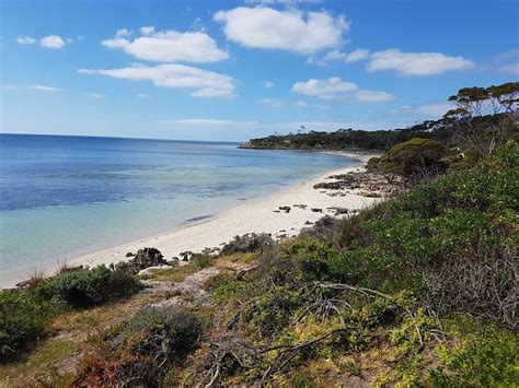 تعليقات حول ‪browns beach‬ جزيرة كانجارو أستراليا tripadvisor