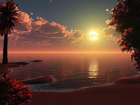 The Tropical Sunset Wallpaper And Background Image 1600x1200 Id122576