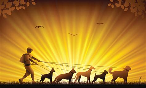 Dog Walker Stock Illustration Download Image Now Istock