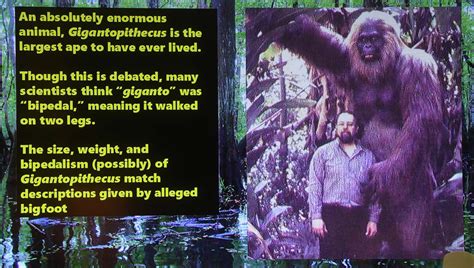 Bigfoot In Southeast Texas Is More Than Myth