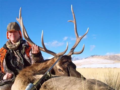 Montana Elk Hunting Guides Elk Hunting Outfitters In Montana