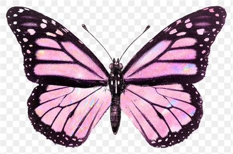 Pink holographic butterfly design element | premium image by rawpixel