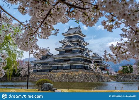 Matsumoto Castle During Cherry Blossom Season Stock Image Image Of