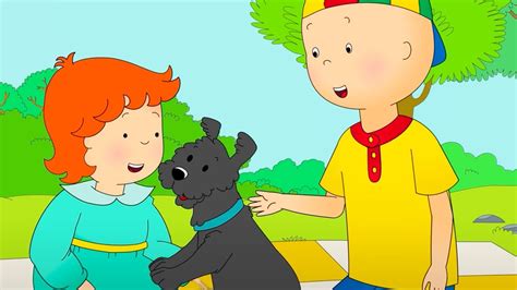 Caillou And The Puppy Caillou Cartoon Youtube