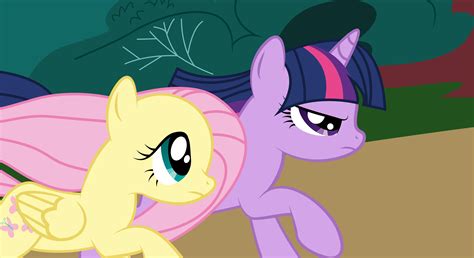 fluttershy and twilight vector by paulysentry on deviantart