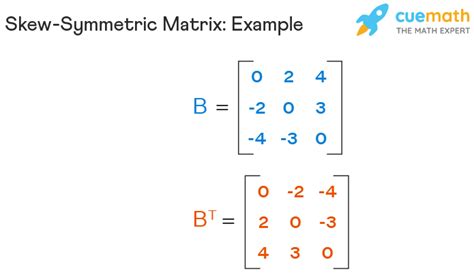 Skew Symmetric Matrix Definition Properties Theorems Examples