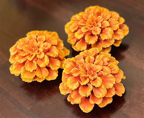 Marigold Flowers Ofrenda Flowers Decor Day Of The Dead Etsy