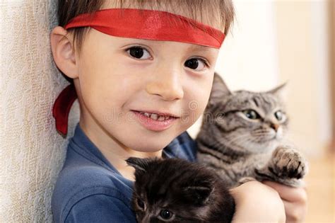 Boy With Cat And Kitten Stock Image Image Of Together 70137653