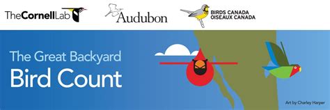 Annual Great Backyard Bird Count — Audubon Miami Valley
