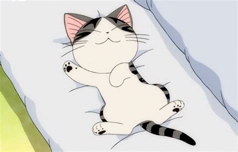 World Of Chi Gato Anime Anime Cat Chi Le Chat Totoro Cartoon