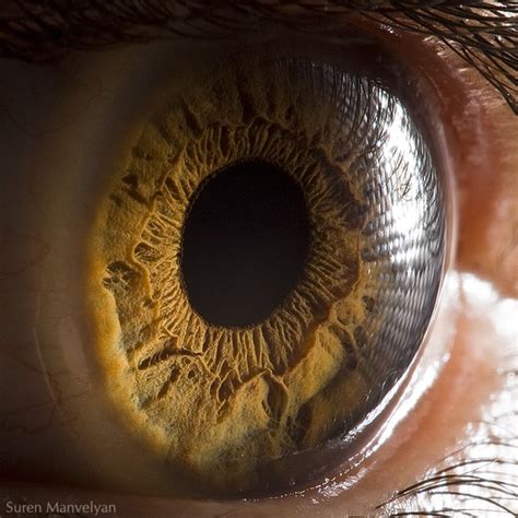 Gambar Mikroskopik Mata Manusia Lepak Sini