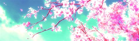 The Symbolism Of Sakura Trees In Anime And Characters That Are Like It