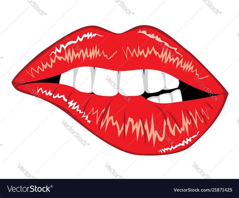 Female Lips With Teeth Royalty Free Vector Image