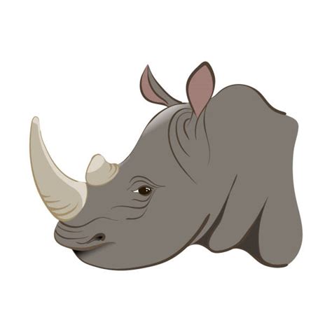 Cartoon Of The Rhinoceros Head Illustrations Royalty Free Vector