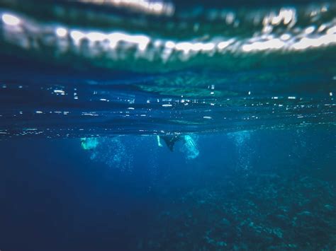 깊은 물 바다 사람 수영 수중 스노클링 탐구에 관한 무료 스톡 사진