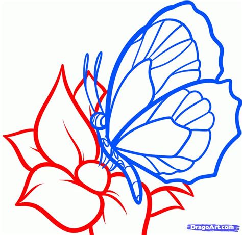 Flowers Drawings Inspiration How To Draw A Butterfly On A Flower