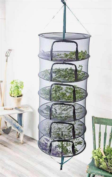 Drying Herbs Easily Best Hacks And 4 Methods Compared A Piece Of
