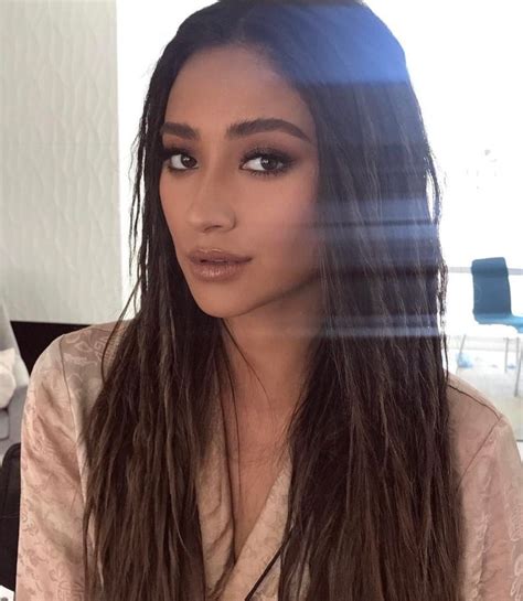 Shay Mitchell Image