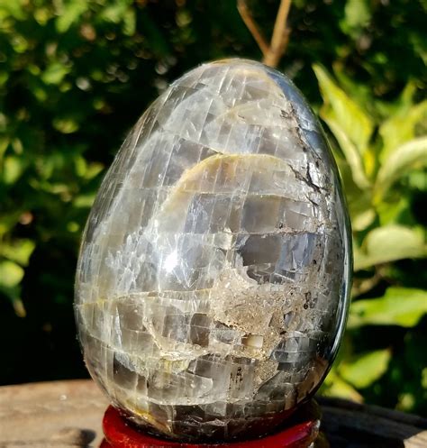 Black Moonstone Egg Rare Large Natural Fertility Symbol Reiki Crystal